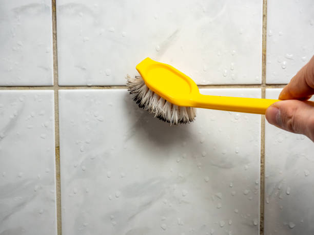 Best Industrial Mold Remediation in Benavides, TX