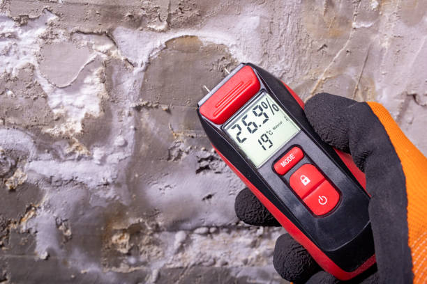 Best Mold Remediation for Schools in Benavides, TX
