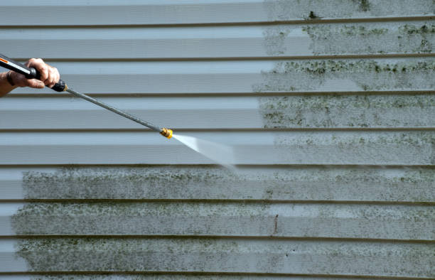 Best Mold Remediation for Specific Building Types in Benavides, TX