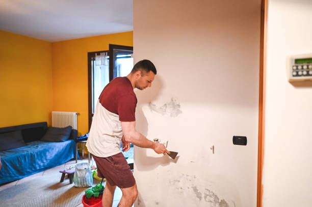 Best Black Mold Remediation in Benavides, TX